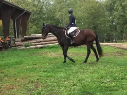 Online veste équiline Femme Tenue De Concours Femme·Veste De Concours|La Cavalière En Concours