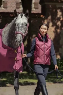 Discount Veste sans manches Heritage 2025 - - Rembourrage léger Femme Tenue D'Équitation Femme·Gilets Et Bodywarmer