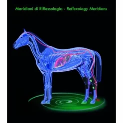 Hot Air Hock - Protège jarret thérapeutique Protège-Jarrets|Protège Jarret